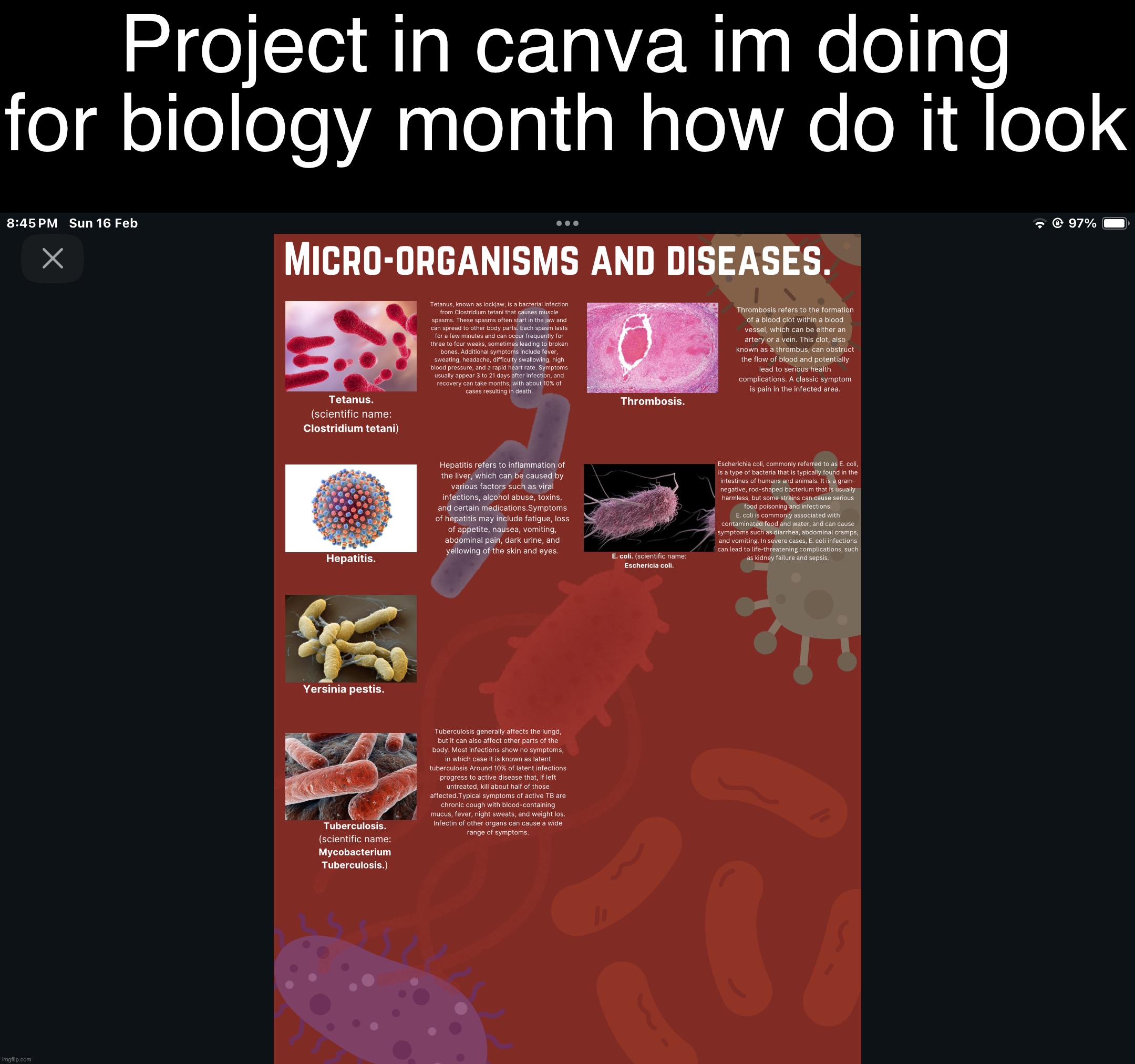 Project in canva im doing for biology month how do it look | made w/ Imgflip meme maker