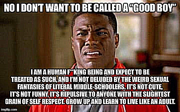 No I don’t want to be called a good boy | image tagged in no i don t want to be called a good boy | made w/ Imgflip meme maker