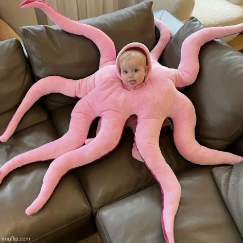 Baby Octopus | image tagged in baby octopus | made w/ Imgflip meme maker