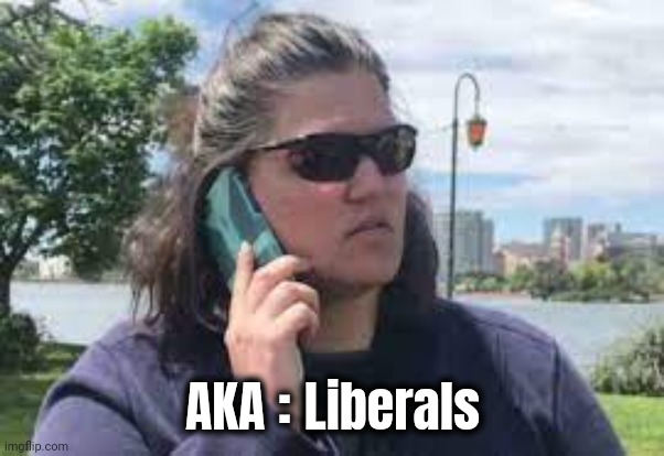 karen on phone | AKA : Liberals | image tagged in karen on phone | made w/ Imgflip meme maker
