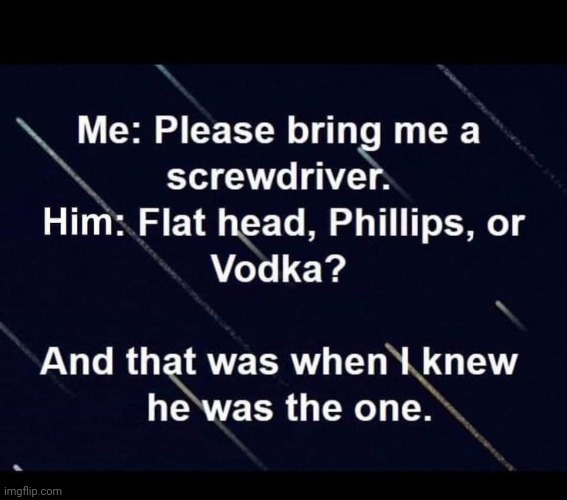 One Of Each Please | image tagged in screwdriver,flat,phillips,vodka,he's the one,memes | made w/ Imgflip meme maker