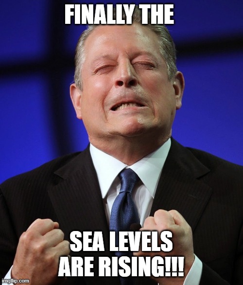 Al gore | FINALLY THE SEA LEVELS ARE RISING!!! | image tagged in al gore | made w/ Imgflip meme maker