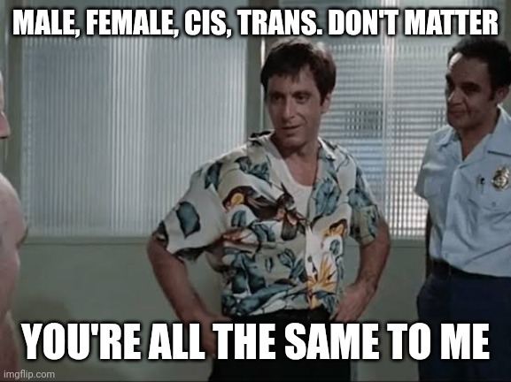 MALE, FEMALE, CIS, TRANS. DON'T MATTER; YOU'RE ALL THE SAME TO ME | made w/ Imgflip meme maker
