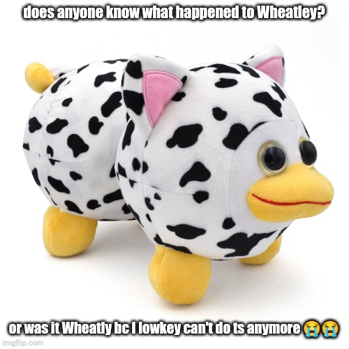did he leave ig?? | does anyone know what happened to Wheatley? or was it Wheatly bc I lowkey can't do ts anymore 😭😭 | image tagged in mega peepy | made w/ Imgflip meme maker