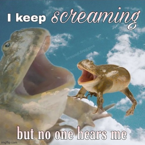 i keep screaming but no one hears me | image tagged in frogs,meme,memes,frog,relatable,gifs | made w/ Imgflip meme maker