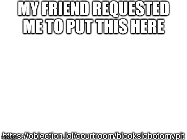 nyc.subway.rat is my friend btw | MY FRIEND REQUESTED ME TO PUT THIS HERE; https://objection.lol/courtroom/blookslobotomypit | made w/ Imgflip meme maker