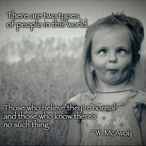 Why be normal? | There are two types of people in this world. Those who believe they’re normal
and those who know there’s 
no such thing.

                                                  ~ W. McAvoy | image tagged in silly girl,normal,no such thing | made w/ Imgflip meme maker