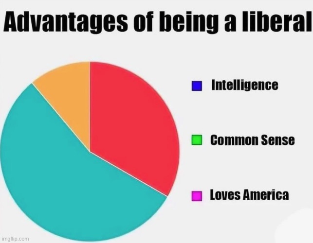 Liberals hate America. | image tagged in stupid liberals | made w/ Imgflip meme maker