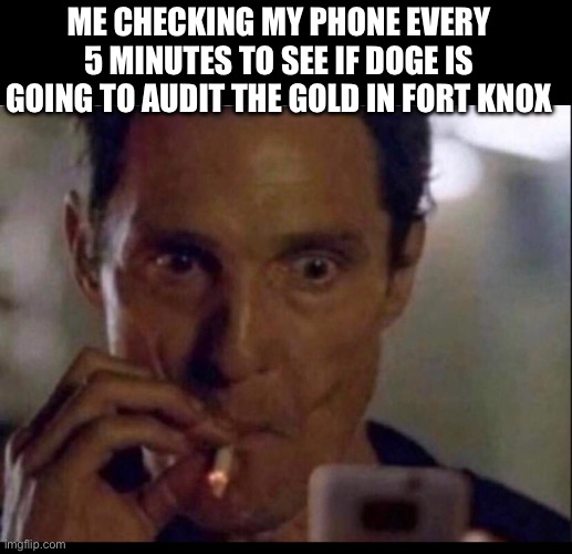 Fort Knox Gold | ME CHECKING MY PHONE EVERY 5 MINUTES TO SEE IF DOGE IS GOING TO AUDIT THE GOLD IN FORT KNOX | image tagged in memes | made w/ Imgflip meme maker