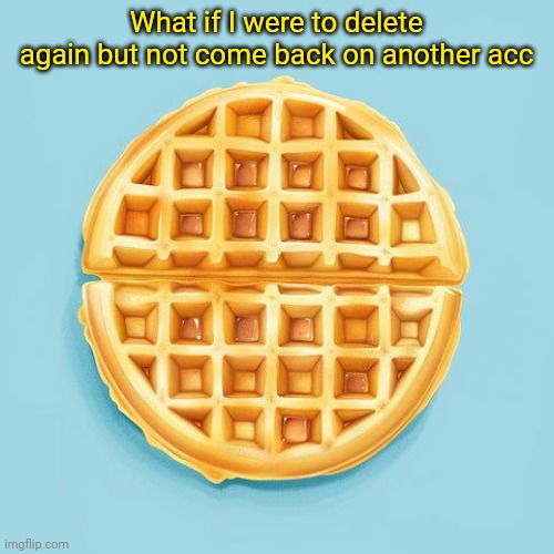 Waffle | What if I were to delete again but not come back on another acc | image tagged in waffle | made w/ Imgflip meme maker