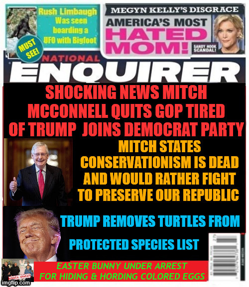 National Enquirer MCConnell dump's Trump | image tagged in national enquirer mcconnell dump's trump,trump gives mitch a thumbs down,mcconnell gets death threats,rope a dope | made w/ Imgflip meme maker