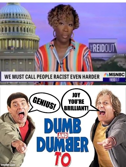 MSNBC and Joy double down on RACISM! Dumb and Dumber 2!! | JOY YOU'RE BRILLIANT! GENIUS! | image tagged in sam elliott special kind of stupid,al sharpton racist | made w/ Imgflip meme maker