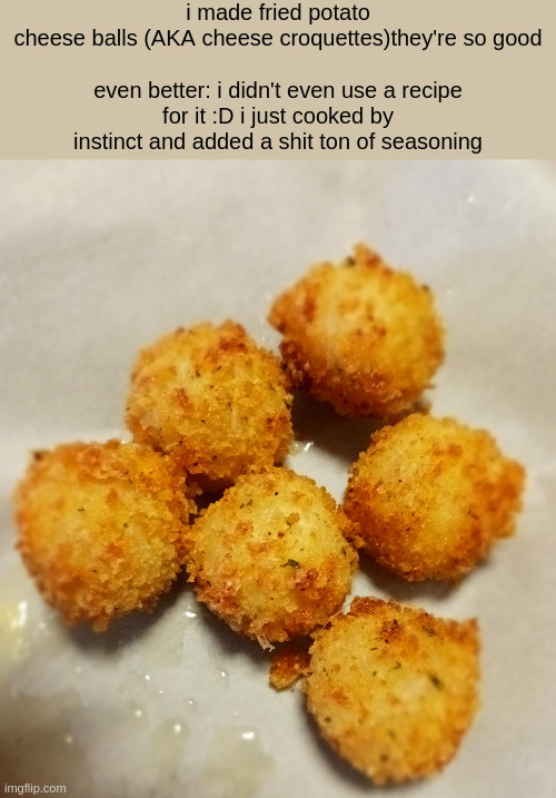 i made fried potato cheese balls (AKA cheese croquettes)they're so good
 
even better: i didn't even use a recipe for it :D i just cooked by instinct and added a shit ton of seasoning | made w/ Imgflip meme maker
