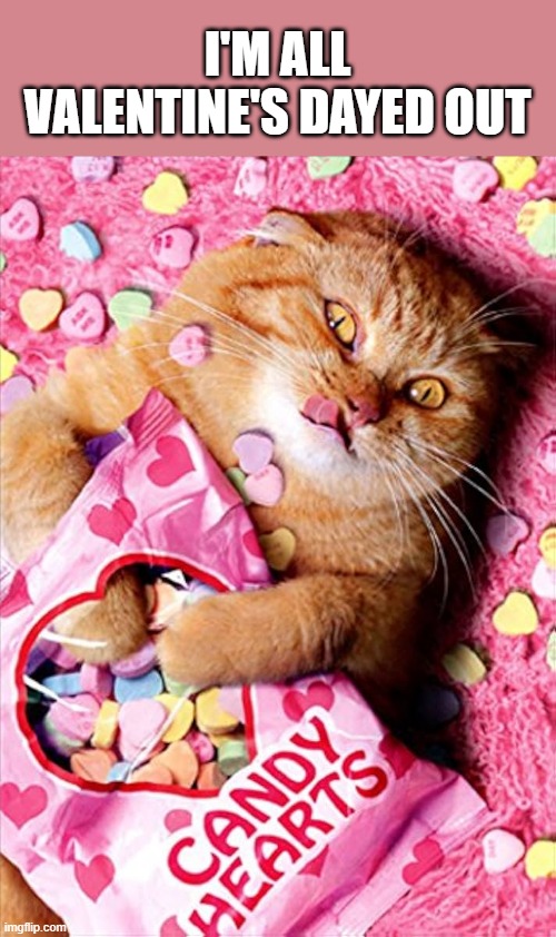 memes by Brad - My cat is all Valentine's dayed out  - humor - | I'M ALL VALENTINE'S DAYED OUT | image tagged in funny,cats,valentine's day,kitten,humor,tired cat | made w/ Imgflip meme maker