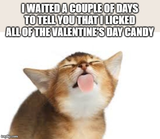 memes by Brad - My cat licked all of the Valentine's candy  - humor - | I WAITED A COUPLE OF DAYS TO TELL YOU THAT I LICKED ALL OF THE VALENTINE'S DAY CANDY | image tagged in funny,cats,valentine's day,kittens,humor,licking | made w/ Imgflip meme maker