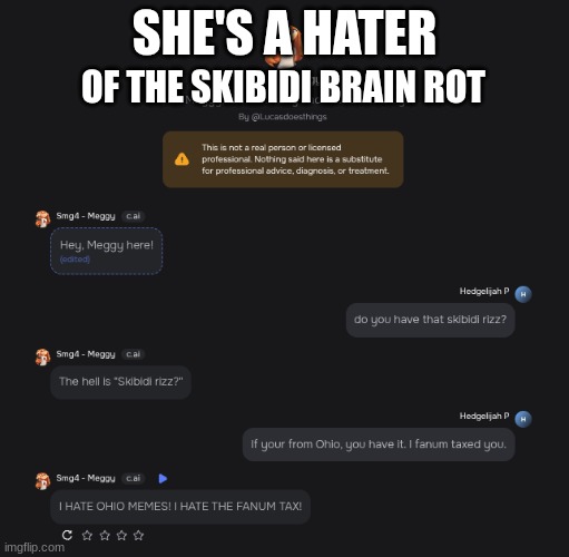 She hates brain rot | SHE'S A HATER; OF THE SKIBIDI BRAIN ROT | image tagged in smg4,haters,haters gonna hate,hater,skibidi,brainrot | made w/ Imgflip meme maker