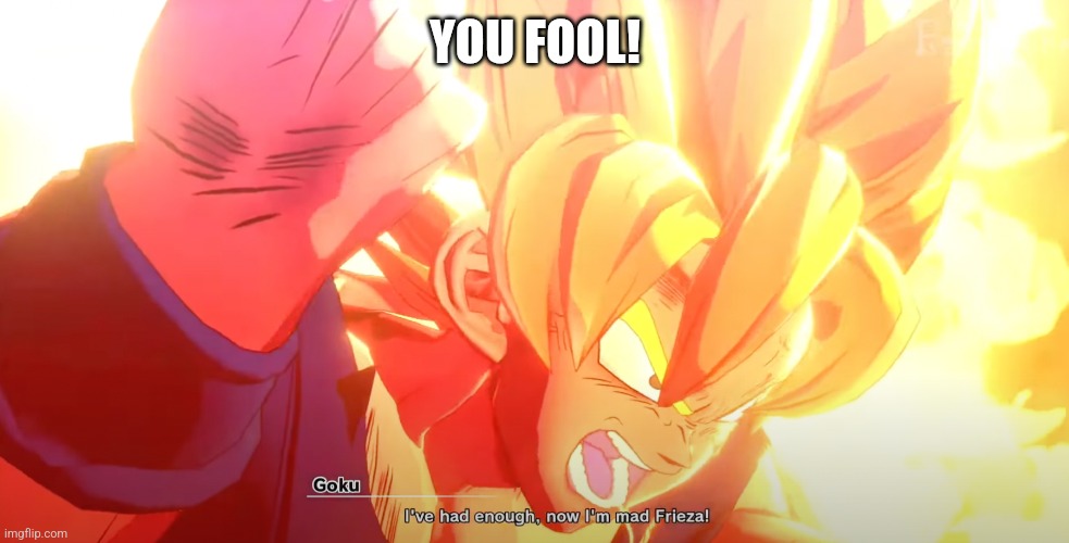 enraged ssj goku | YOU FOOL! | image tagged in enraged ssj goku | made w/ Imgflip meme maker