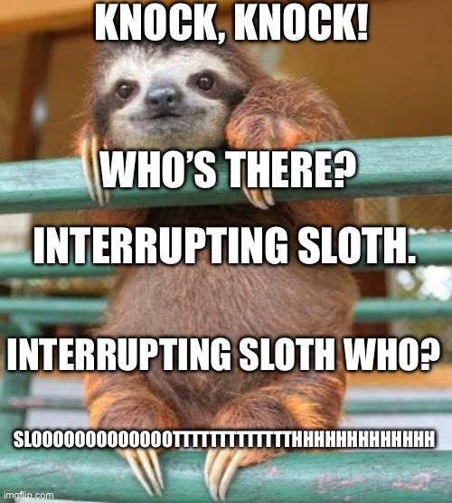 cute sloth | KNOCK, KNOCK! WHO’S THERE? INTERRUPTING SLOTH. INTERRUPTING SLOTH WHO? SLOOOOOOOOOOOOOTTTTTTTTTTTTTHHHHHHHHHHHHH | image tagged in cute sloth | made w/ Imgflip meme maker