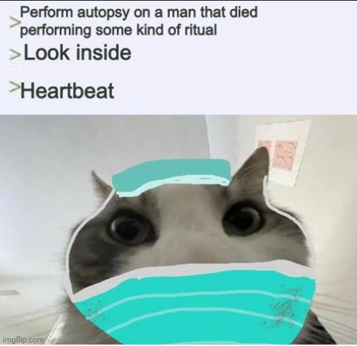 Why is most of r/distressingmemes videos? | made w/ Imgflip meme maker