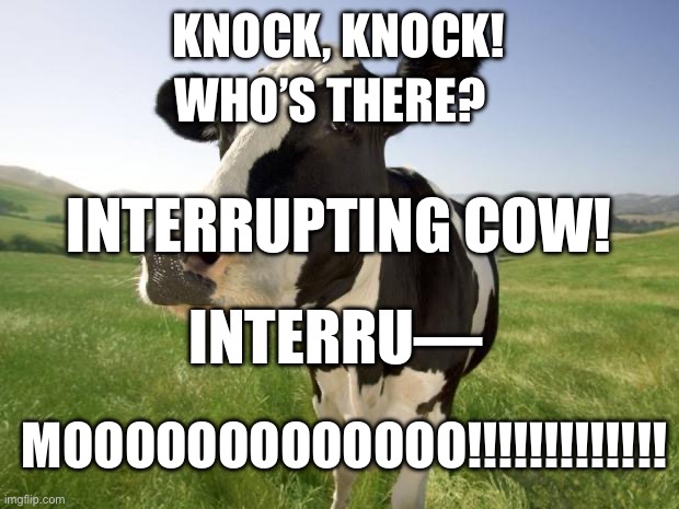 cow | WHO’S THERE? KNOCK, KNOCK! INTERRUPTING COW! INTERRU—; MOOOOOOOOOOOOO!!!!!!!!!!!!! | image tagged in cow | made w/ Imgflip meme maker