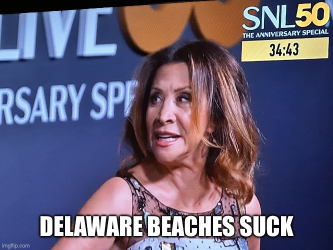 Cheri Oteri | DELAWARE BEACHES SUCK | image tagged in cheri oteri | made w/ Imgflip meme maker