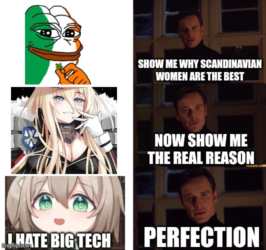 perfection | SHOW ME WHY SCANDINAVIAN WOMEN ARE THE BEST; NOW SHOW ME THE REAL REASON; PERFECTION; I HATE BIG TECH | image tagged in perfection | made w/ Imgflip meme maker