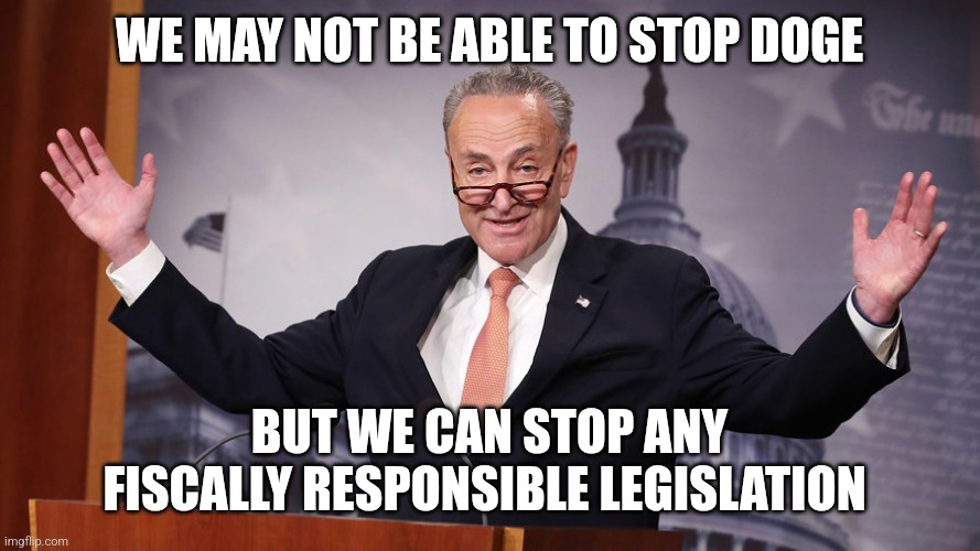 WE MAY NOT BE ABLE TO STOP DOGE BUT WE CAN STOP ANY FISCALLY RESPONSIBLE LEGISLATION | image tagged in chuck schumer | made w/ Imgflip meme maker