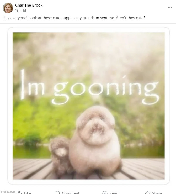 made w/ Imgflip meme maker