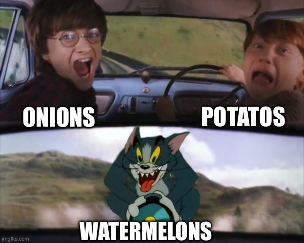 Tom chasing Harry and Ron Weasly | ONIONS POTATOS WATERMELONS | image tagged in tom chasing harry and ron weasly | made w/ Imgflip meme maker