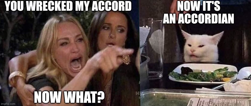 woman yelling at cat | YOU WRECKED MY ACCORD NOW IT'S AN ACCORDIAN NOW WHAT? | image tagged in woman yelling at cat | made w/ Imgflip meme maker