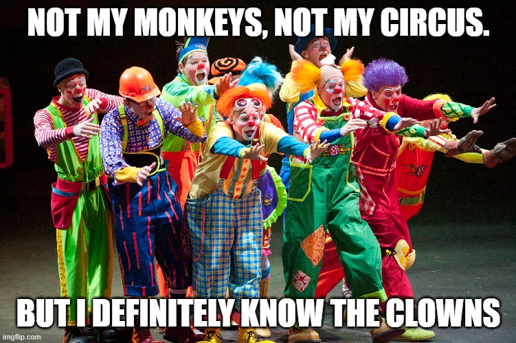 clowns | NOT MY MONKEYS, NOT MY CIRCUS. BUT I DEFINITELY KNOW THE CLOWNS | image tagged in circus,monkeys,clowns | made w/ Imgflip meme maker