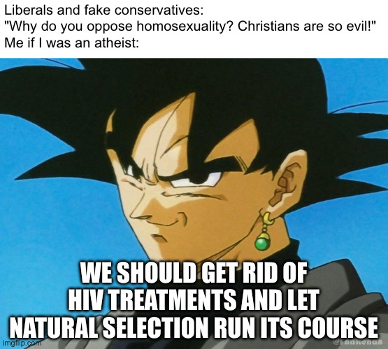 Why liberals should be glad I'm not an atheist | Liberals and fake conservatives:
"Why do you oppose homosexuality? Christians are so evil!"
Me if I was an atheist:; WE SHOULD GET RID OF HIV TREATMENTS AND LET NATURAL SELECTION RUN ITS COURSE | image tagged in aids,liberals,hiv,conservative,christian | made w/ Imgflip meme maker