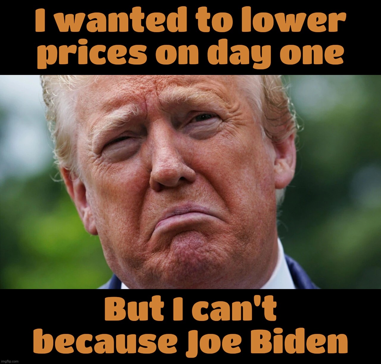 boo hoo, Biden make me eternally screwed,,, | I wanted to lower
prices on day one; But I can't because Joe Biden | image tagged in trump,lower prices on day one,still waiting for the eta on that one,promises promises,it's biden's fault,so sad | made w/ Imgflip meme maker