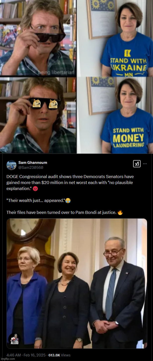 They want you to believe investigating their corruption is unconstitutional | image tagged in doge audits,reveal gross government corruption | made w/ Imgflip meme maker