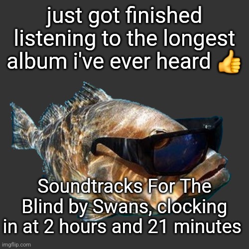 that was an experience | just got finished listening to the longest album i've ever heard 👍; Soundtracks For The Blind by Swans, clocking in at 2 hours and 21 minutes | image tagged in cool bass | made w/ Imgflip meme maker