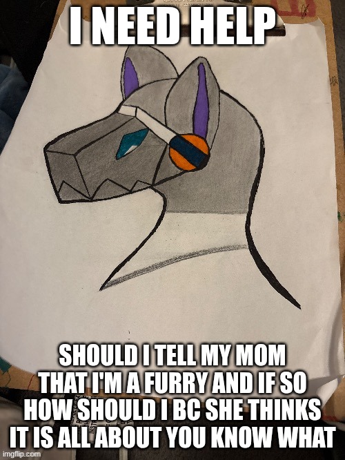 I NEED HELP; SHOULD I TELL MY MOM THAT I'M A FURRY AND IF SO HOW SHOULD I BC SHE THINKS IT IS ALL ABOUT YOU KNOW WHAT | made w/ Imgflip meme maker