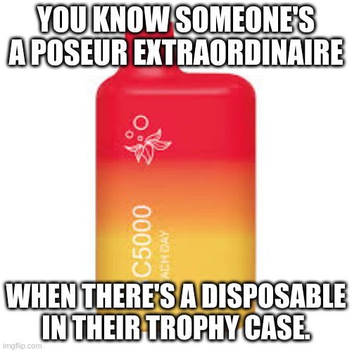 disposable vape | YOU KNOW SOMEONE'S A POSEUR EXTRAORDINAIRE; WHEN THERE'S A DISPOSABLE IN THEIR TROPHY CASE. | image tagged in disposable vape | made w/ Imgflip meme maker