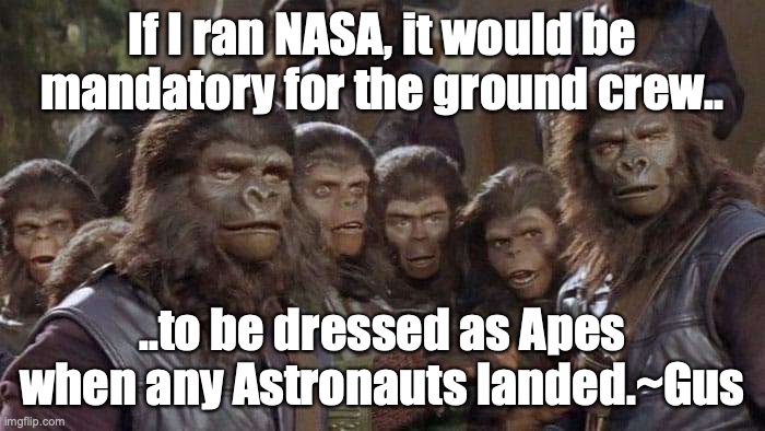 Planet of the apes | If I ran NASA, it would be mandatory for the ground crew.. ..to be dressed as Apes when any Astronauts landed.~Gus | image tagged in planet of the apes | made w/ Imgflip meme maker