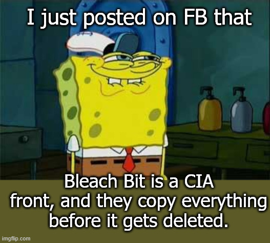 If Only.... | I just posted on FB that; Bleach Bit is a CIA front, and they copy everything before it gets deleted. | image tagged in smug spongebob | made w/ Imgflip meme maker