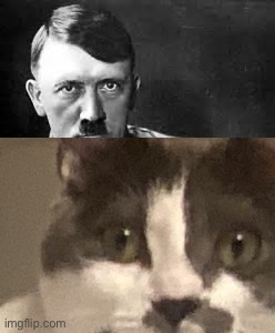 Adolf Hitler | image tagged in adolf hitler | made w/ Imgflip meme maker