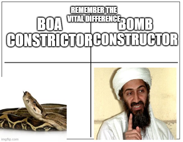 remember the vital difference | BOA CONSTRICTOR; BOMB CONSTRUCTOR; REMEMBER THE VITAL DIFFERENCE | image tagged in 4 square grid | made w/ Imgflip meme maker