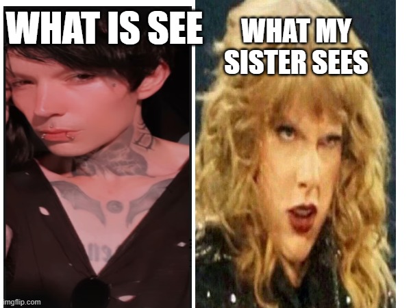 NERO BELLUM VS TAYLOR SWIFT | WHAT MY SISTER SEES; WHAT IS SEE | image tagged in heavy metal | made w/ Imgflip meme maker