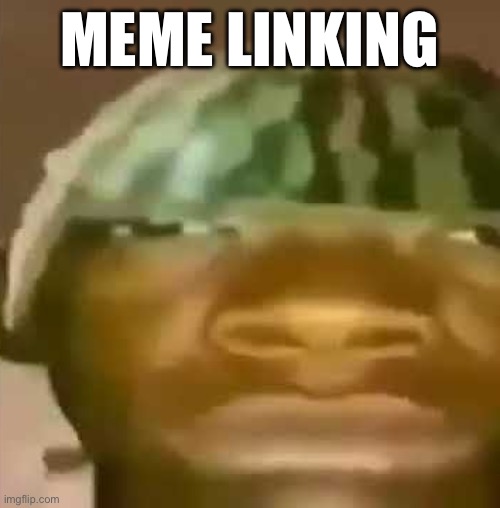 Sry I do this a lot but for a meme to blow up, it needs a boost | MEME LINKING | image tagged in shitpost | made w/ Imgflip meme maker