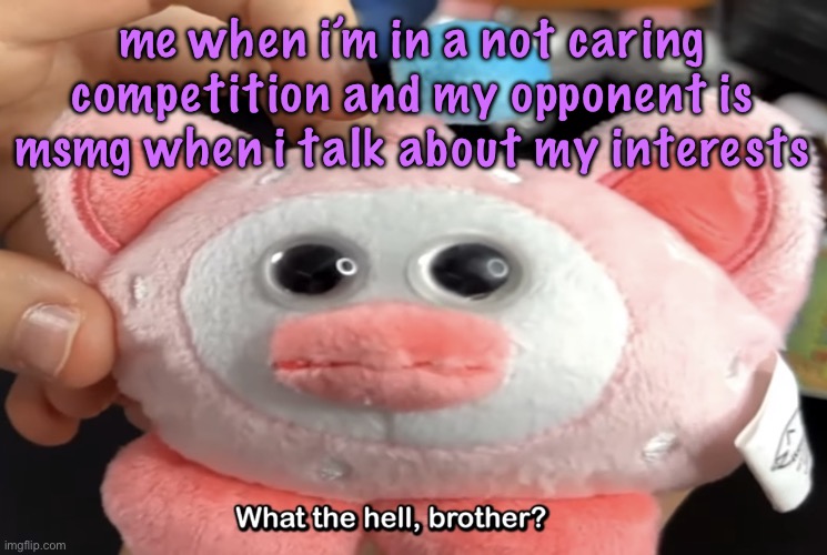 “What the hell, brother?” | me when i’m in a not caring competition and my opponent is msmg when i talk about my interests | image tagged in what the hell brother | made w/ Imgflip meme maker