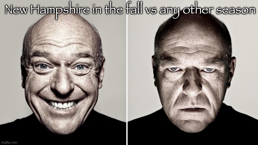 Ooo look at all the leaves | New Hampshire in the fall vs any other season | image tagged in dean norris's reaction | made w/ Imgflip meme maker