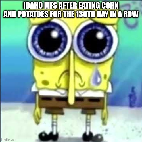 Sad Spongebob | IDAHO MFS AFTER EATING CORN AND POTATOES FOR THE 130TH DAY IN A ROW | image tagged in sad spongebob | made w/ Imgflip meme maker