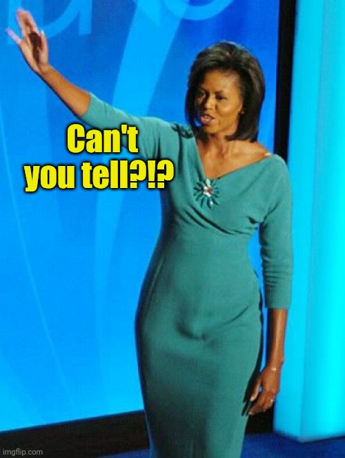 Michelle Obama | Can't you tell?!? | image tagged in michelle obama | made w/ Imgflip meme maker