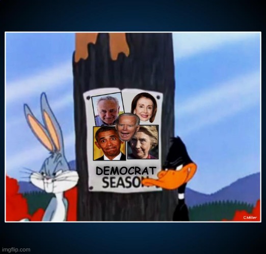 Be vewy, vewy qwiet... | image tagged in democrats,bugs bunny,daffy duck,politics | made w/ Imgflip meme maker