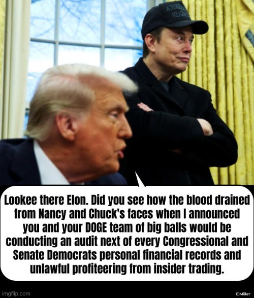 image tagged in donald trump,elon musk,democrats,nancy pelosi,politics,chuck schumer | made w/ Imgflip meme maker