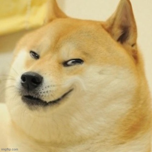 mischievous doge | image tagged in mischievous doge | made w/ Imgflip meme maker